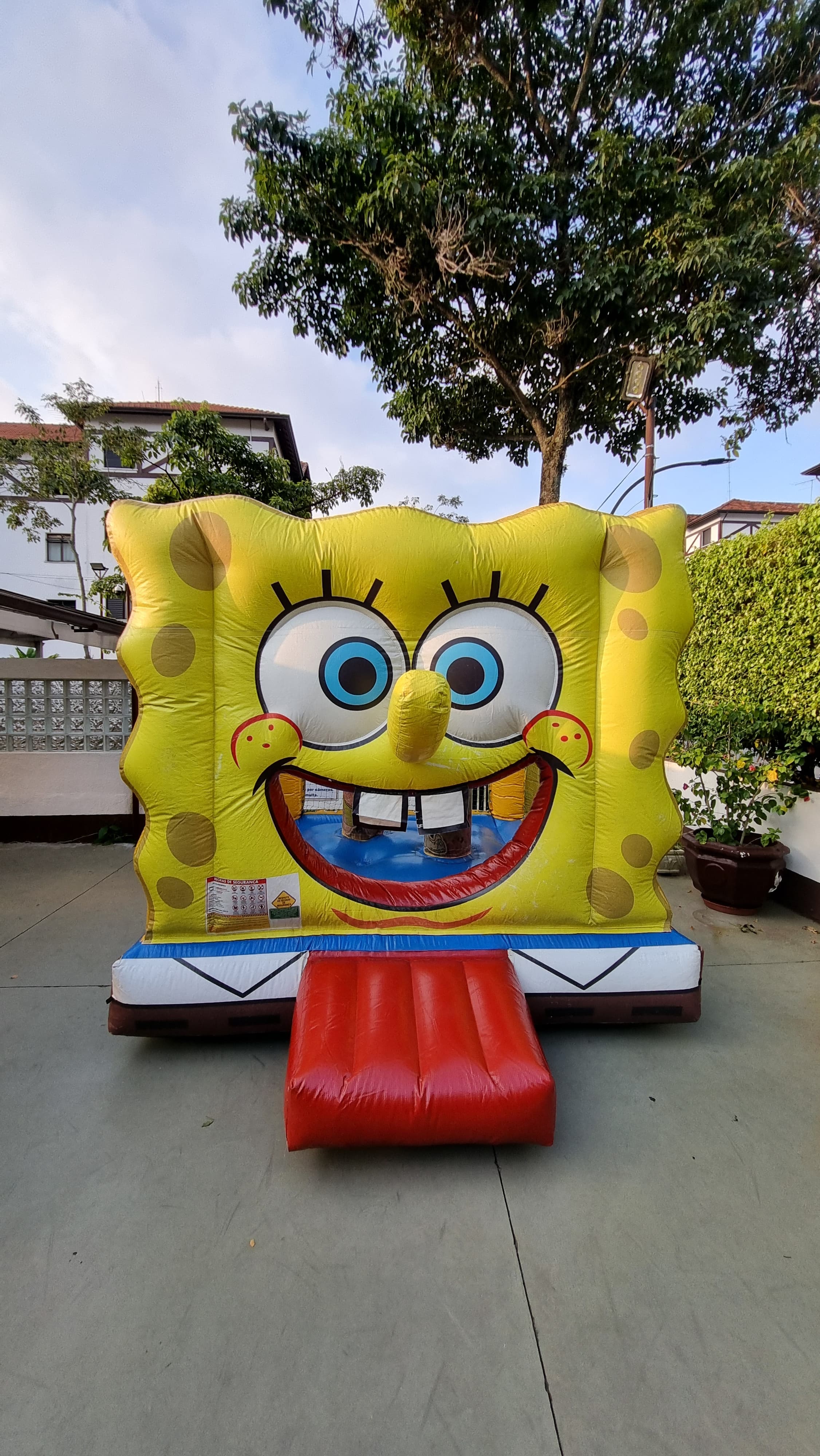 Pula Pula Bob Esponja - foto 3