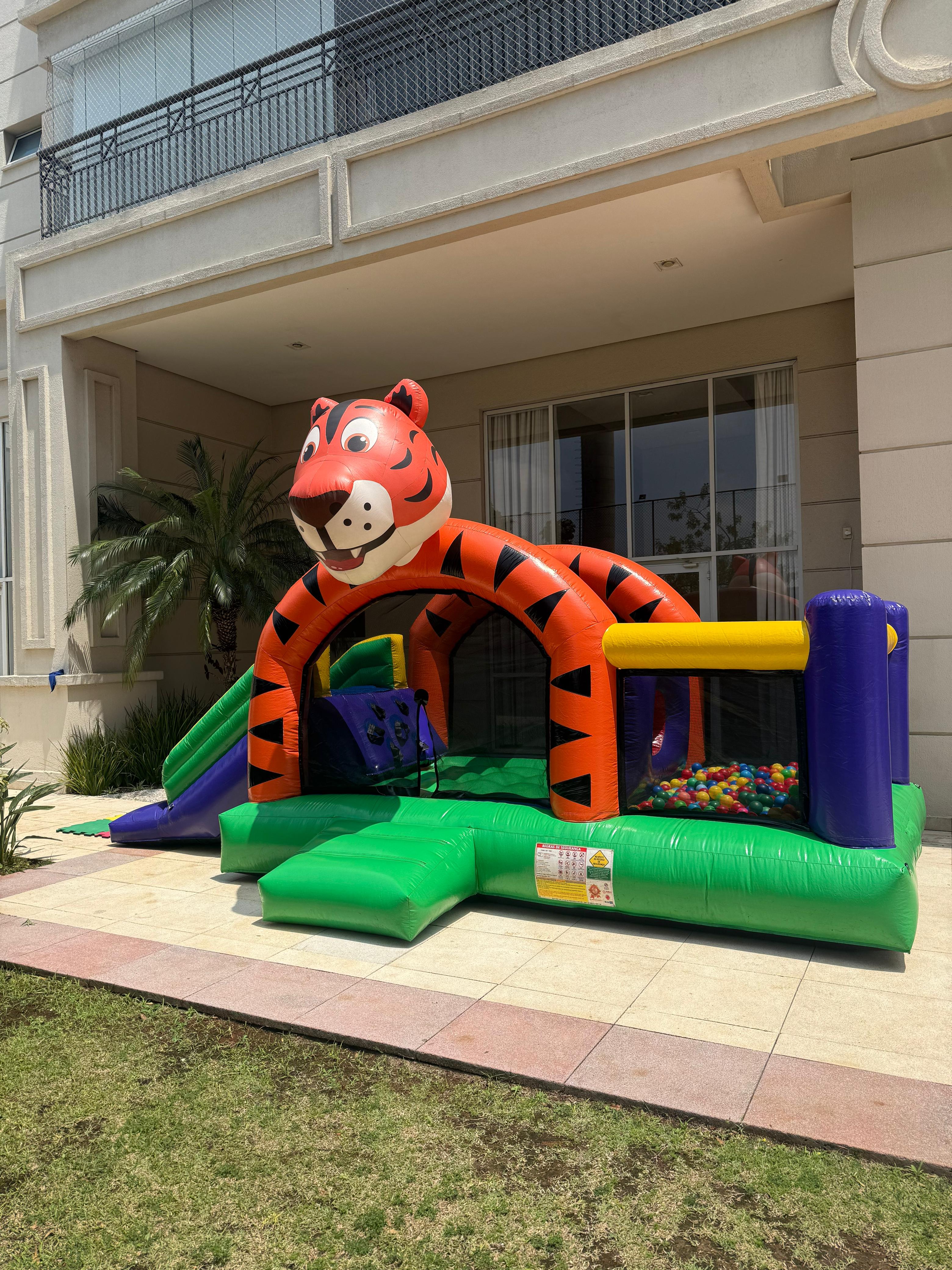 Megaplay do Tigre - foto 1