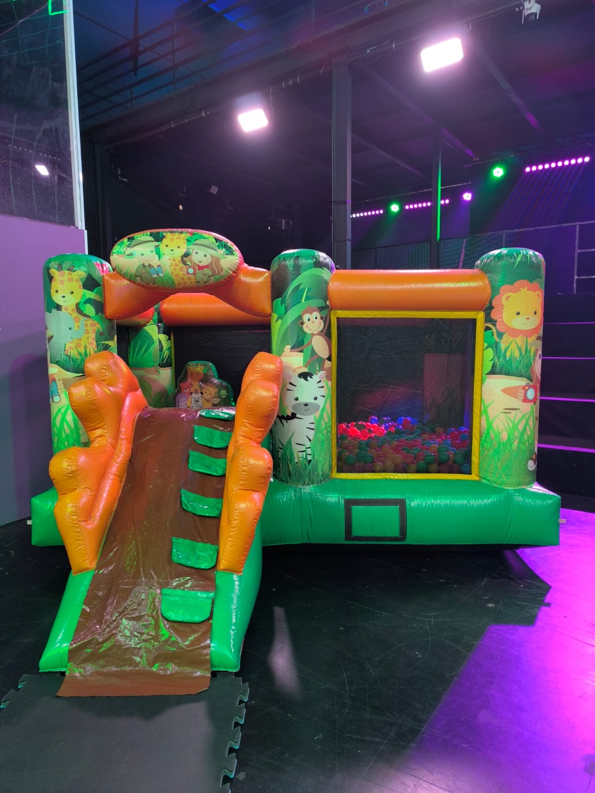 Multiplay Safari - foto 1