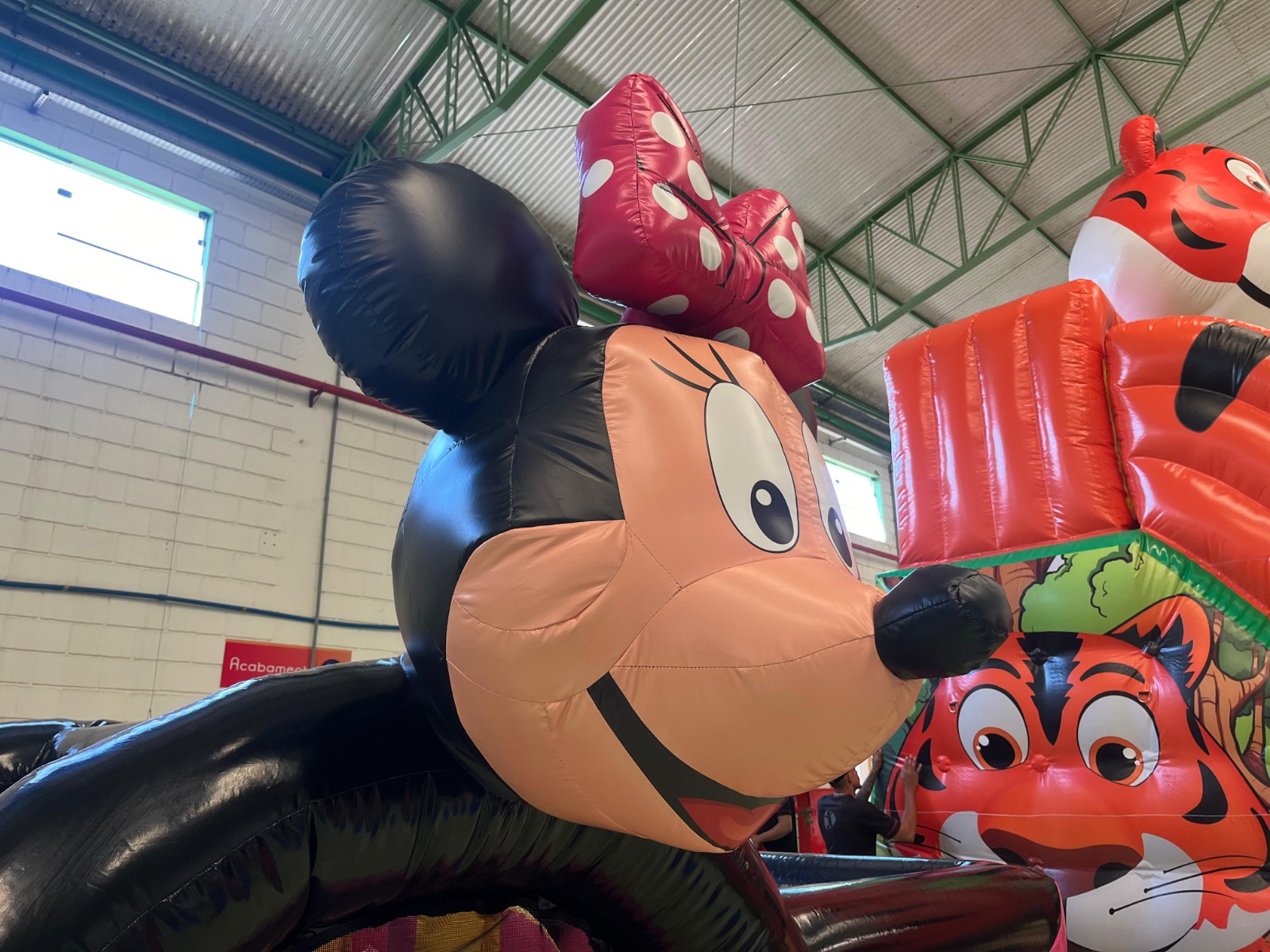 Pocket Minnie - foto 2
