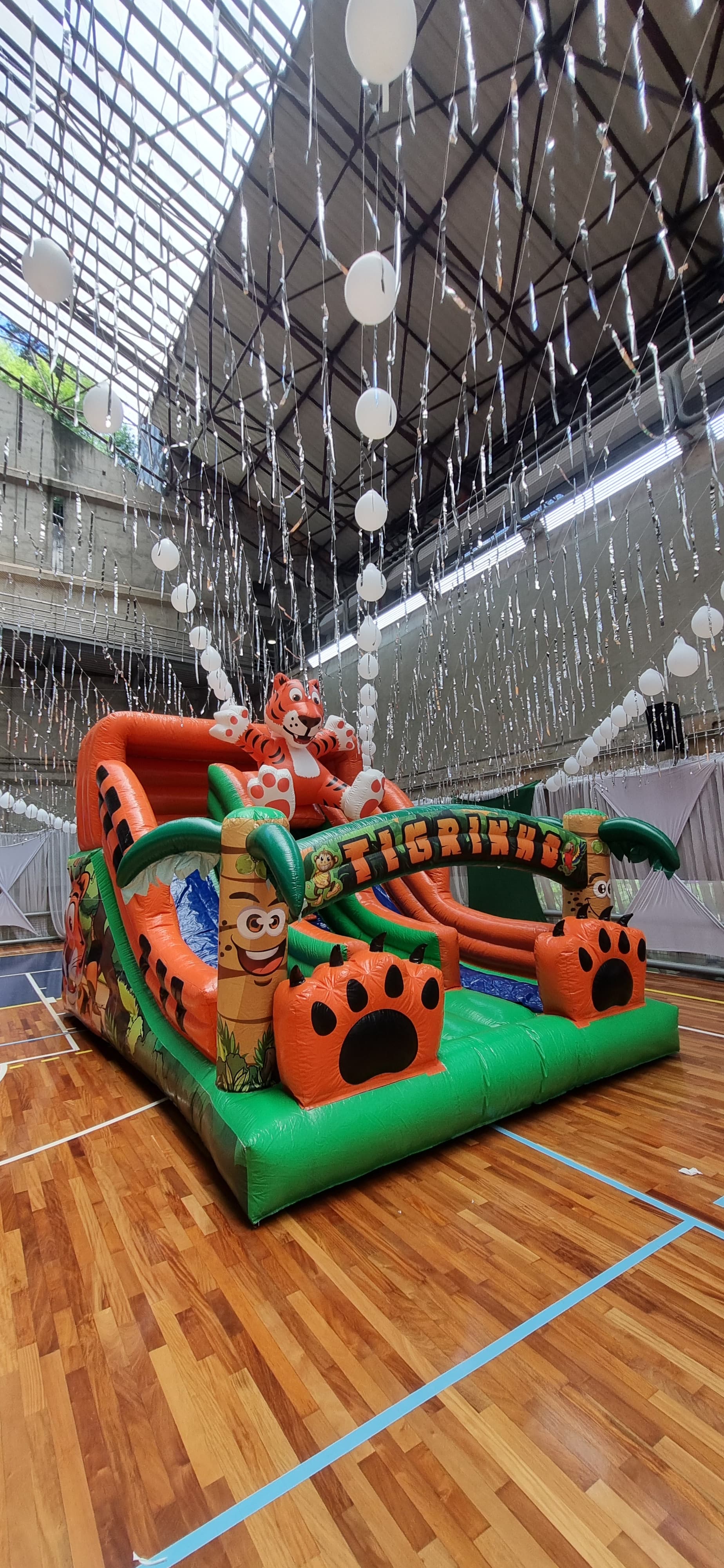 Tobogã Dual Slide Tigrinho – Diversão em Dobro para Crianças - foto 1