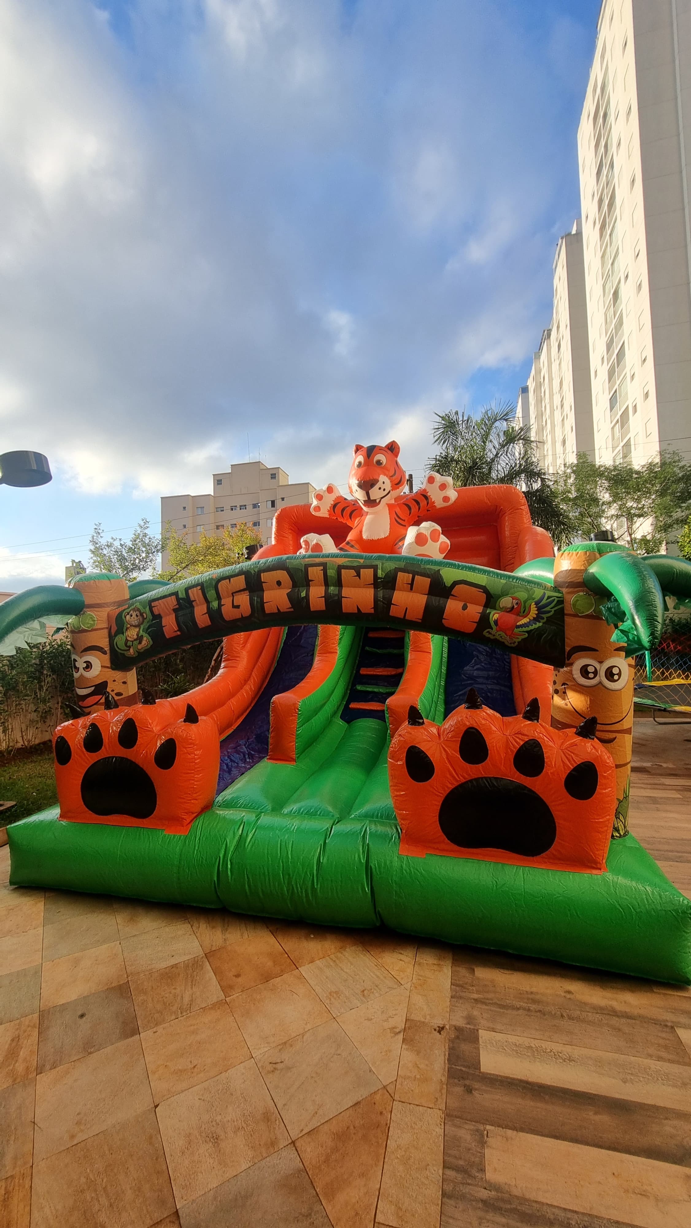 Tobogã Dual Slide Tigrinho – Diversão em Dobro para Crianças - foto 2
